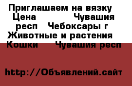 Приглашаем на вязку › Цена ­ 1 500 - Чувашия респ., Чебоксары г. Животные и растения » Кошки   . Чувашия респ.